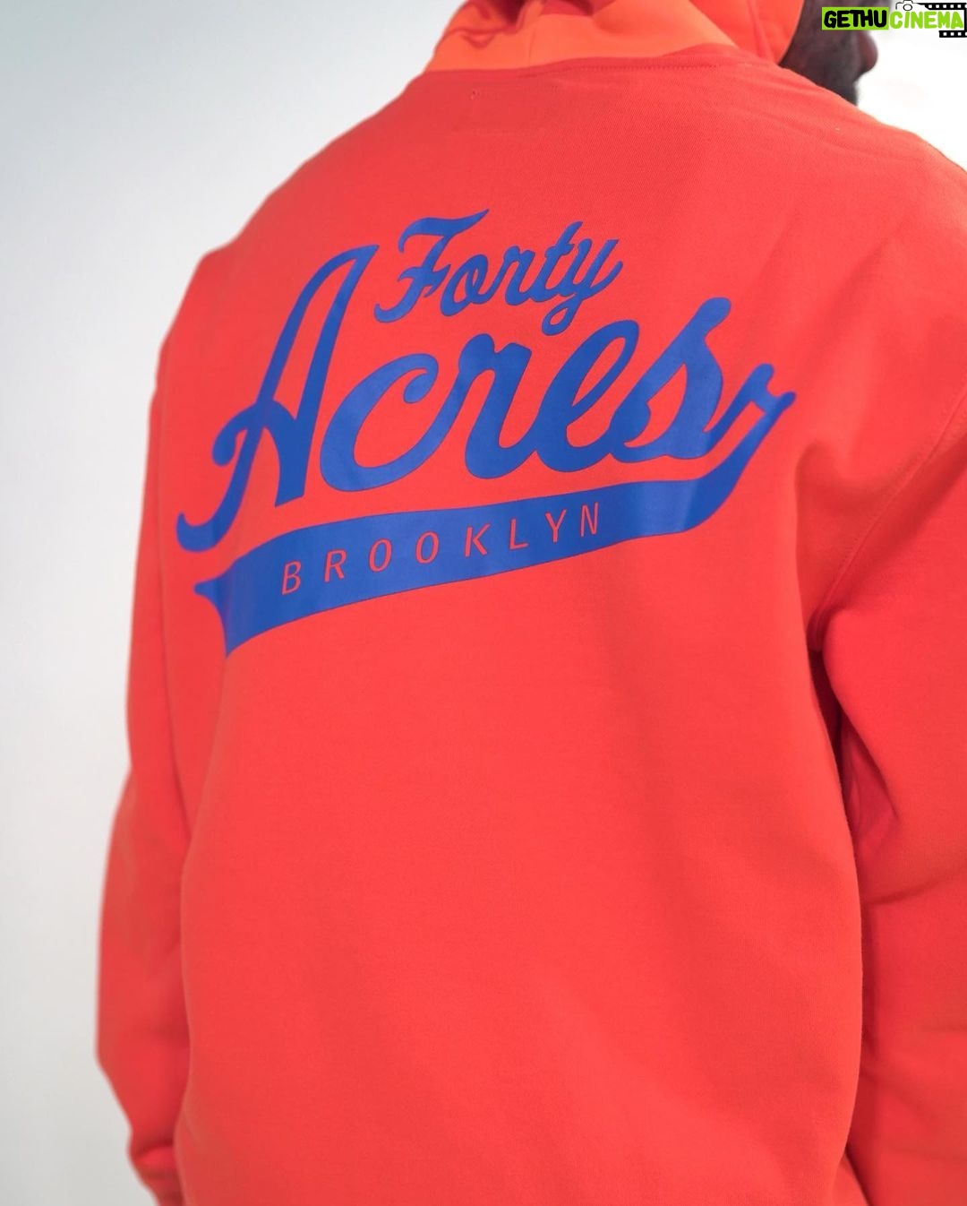 Spike Lee Instagram - Our Limited Edition Collab With Legendary Manufactuer @Alphaindustries X Spike’s Joint/40 Acres Includes A Special Edition Flight Jacket, Hoodie Sweatshirt, And Long Sleeve T-Shirt. The Flight Jacket Is Reversible With The 40 Acres Logo On The Inside And Has 6 Removable Velcro Patches. The Hoodie Is Printed With A Large Graphic That Matches The Back Of The Shirt. These Joints Are Gonna Go Fast. Don’t Sleep! Click The Product Link On IG Story Or Click The Link In The Bio To Shop For This And Many More