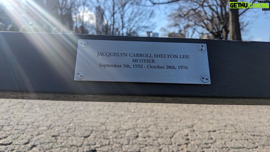 Spike Lee Instagram - Today Iz Da Last Day Of BLACK HIS/HERSTORY Month. This Bench In Fort Greene Park,Brooklyn Iz In Honor Of My Late Parents And Brother-JACQUELINE SHELTON,CHRIS And WILLIAM LEE. FAMILYππΎππΎππΎππΎππΎππΎππΎππΎππΎππΎππΎππΎππΎPhotos By Cinque Lee