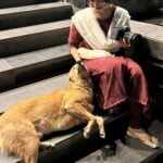 Sri Divya Instagram - The attention-seeking doggo 🐶 truly made our day! 🐾😄 #attentionseeker #cutest #stealinghearts #innocent #dogvideos #love