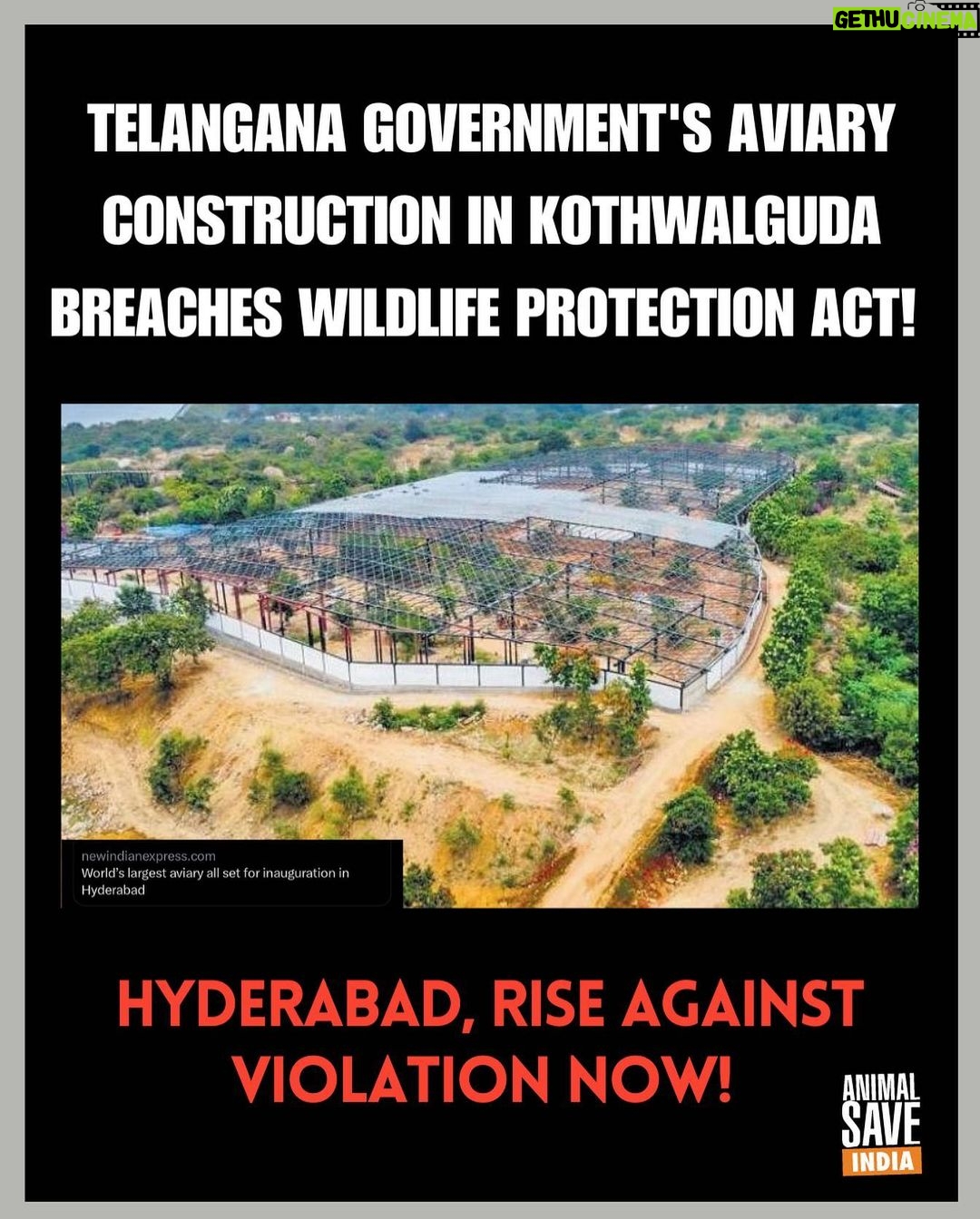 Sri Divya Instagram - The construction of an Aviary in #Kothwalguda is a clear violation of the Wildlife Protection Act, posing a threat to our democracy. It lacks mandatory approval from @moefccgoi @cza_delhi, with a pending court case and no response to the Right to Information (RTI). With 1653+ signatures on an online petition and a growing outcry on social media against the establishment of an Aviary and Aquarium in #Hyderabad, the #TelanganaGovernment @ktrtrs @talasanisrinivasyadav #ArvindKumar @hmda_gov disregards citizens’ concerns and neglects the law. #StopAviaryConstruction 🛑 #ProtectWildlife #KothwalgudaEcoPark