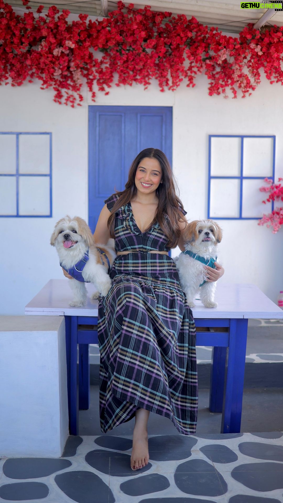 Srishty Rode Instagram - Mai apni favourite hoon 💖 aur yeh bhi @tiaraandtroy 🐶 . 🎥 @iamrohitsulakhe 👗 @howwhenwearclothing 📍 @ganeshpuricottage . . #reels #reelsinstagram #reelitfeelit #reelkarofeelkaro