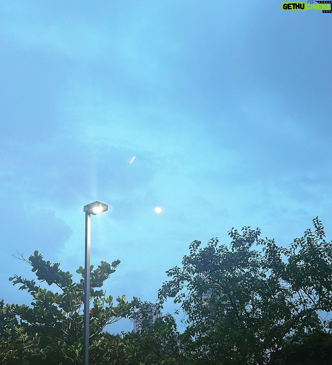 Sriti Jha Instagram - What's the best thing in the world? June-rose, by May-dew impearl'd; Sweet south-wind, that means no rain Truth, not cruel to a friend Pleasure, not in haste to end Beauty, not self-deck'd and curl'd Till its pride is over-plain Light, that never makes you wink Memory, that gives no pain Love, when, so, you're loved again. What's the best thing in the world? Something out of it, I think. - Elizabeth Browning