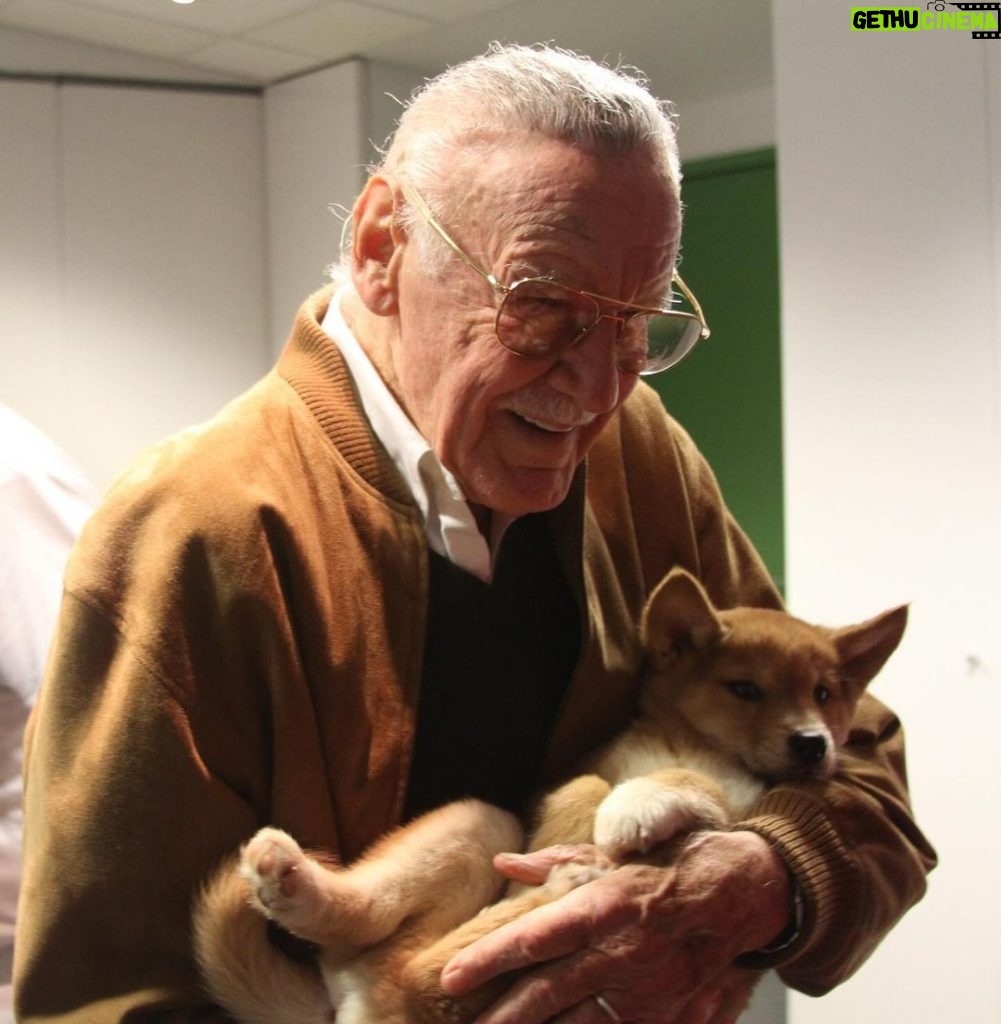 Stan Lee Instagram - What could be more adorable than Stan cradling a dingo? 🐕 Nothing, in our opinion. #StanLee #ThrowbackThursday #AdorableAnimals