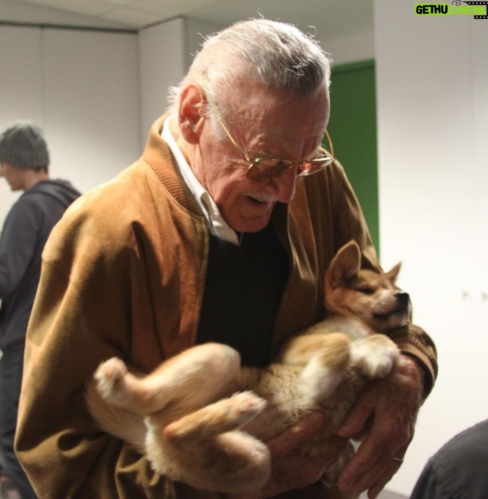 Stan Lee Instagram - What could be more adorable than Stan cradling a dingo? 🐕 Nothing, in our opinion. #StanLee #ThrowbackThursday #AdorableAnimals