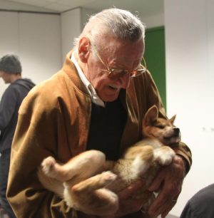 Stan Lee Instagram - What could be more adorable than Stan cradling a dingo? 🐕 
Nothing, in our opinion. 
#StanLee #ThrowbackThursday #AdorableAnimals