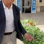 Stanley Tucci Instagram – More vegetables. More love.