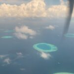 Stanley Tucci Instagram - Soneva Jani and Soneva Fushi are places that I thought only existed in dreams or fairy tales. But luckily, they are real. We were so fortunate to be able to visit for a second time and cannot wait to go again someday. They are luxurious, eco friendly resorts with amazing food and the warmest hosts. @discoversoneva 🐠 ⠀ ⠀ ⠀ #discoversoneva #sonevajani #experiencesoneva #sonevafushi ⠀ ⠀ ⠀ ⠀