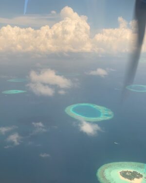 Stanley Tucci Instagram - Soneva Jani and Soneva Fushi are places that I thought only existed in dreams or fairy tales. But luckily, they are real. We were so fortunate to be able to visit for a second time and cannot wait to go again someday.  They are luxurious, eco friendly resorts with amazing food and the warmest hosts. @discoversoneva 🐠 
⠀
⠀
⠀
#discoversoneva #sonevajani #experiencesoneva #sonevafushi ⠀
⠀
⠀
⠀