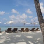 Stanley Tucci Instagram - Soneva Jani and Soneva Fushi are places that I thought only existed in dreams or fairy tales. But luckily, they are real. We were so fortunate to be able to visit for a second time and cannot wait to go again someday. They are luxurious, eco friendly resorts with amazing food and the warmest hosts. @discoversoneva 🐠 ⠀ ⠀ ⠀ #discoversoneva #sonevajani #experiencesoneva #sonevafushi ⠀ ⠀ ⠀ ⠀