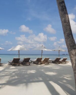 Stanley Tucci Instagram - Soneva Jani and Soneva Fushi are places that I thought only existed in dreams or fairy tales. But luckily, they are real. We were so fortunate to be able to visit for a second time and cannot wait to go again someday.  They are luxurious, eco friendly resorts with amazing food and the warmest hosts. @discoversoneva 🐠 
⠀
⠀
⠀
#discoversoneva #sonevajani #experiencesoneva #sonevafushi ⠀
⠀
⠀
⠀