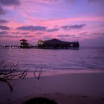 Stanley Tucci Instagram - Soneva Jani and Soneva Fushi are places that I thought only existed in dreams or fairy tales. But luckily, they are real. We were so fortunate to be able to visit for a second time and cannot wait to go again someday. They are luxurious, eco friendly resorts with amazing food and the warmest hosts. @discoversoneva 🐠 ⠀ ⠀ ⠀ #discoversoneva #sonevajani #experiencesoneva #sonevafushi ⠀ ⠀ ⠀ ⠀