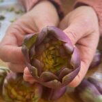 Stanley Tucci Instagram - Got some beautiful baby purple artichokes from @sipsbites - going to attempt @therivercafelondon ‘s recipe tonight. Small hands make light work. London, United Kingdom
