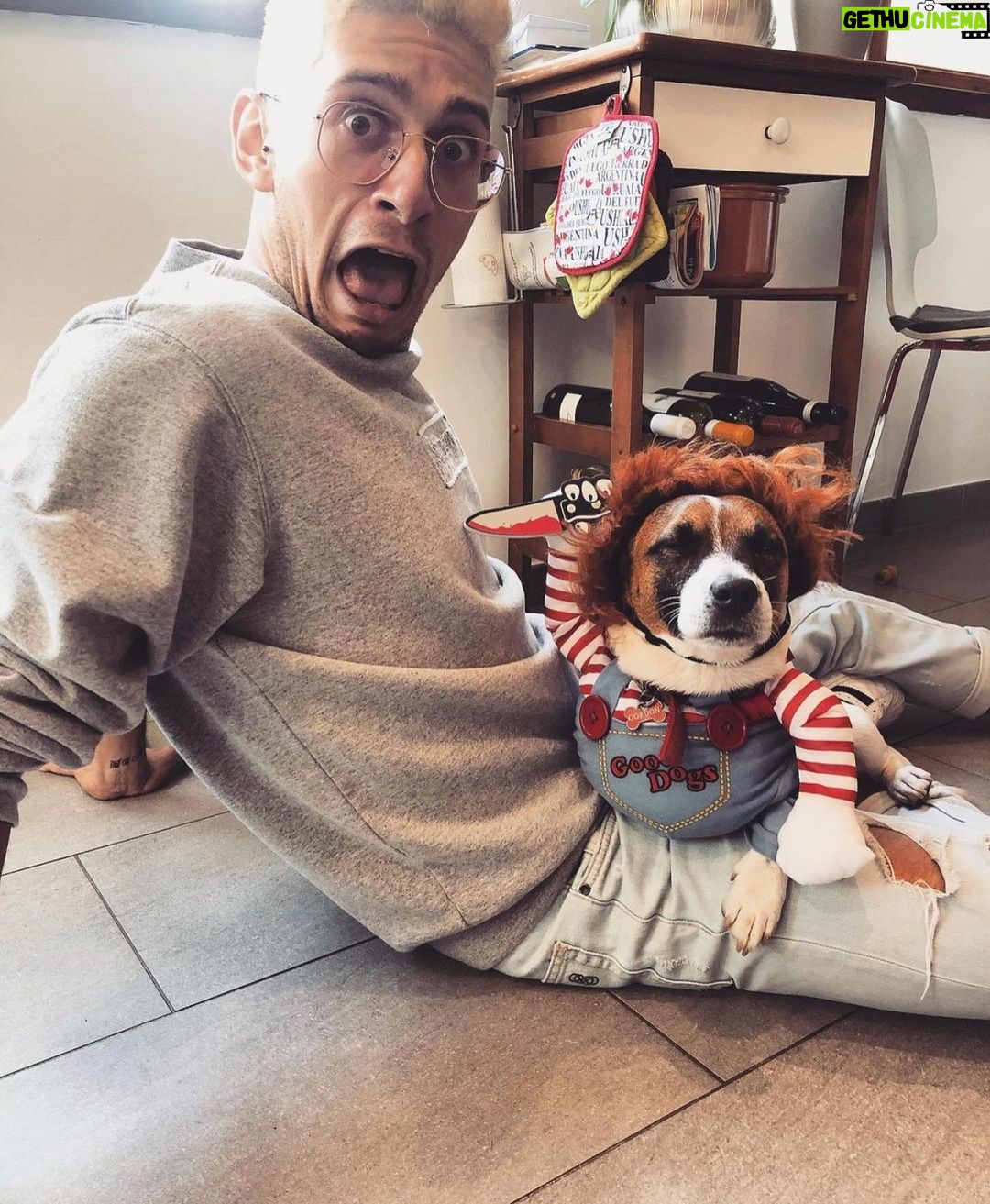Stefano Lepri Instagram - Gli scatti che pubblica mia sorella sui social network š .. se avete una femmina di JackRussel in calore contattate @gordonautilus percheĢ lui eĢ single e costantemente in calore come potete immaginare š
tra lāaltro eĢ vergine quindi saraĢ il principe azzurro irraggiungibile di questo 2020 per la vostra dolce cucciola .. mia sorella non mi ha minimamente incitato a fare questo post 282/366 #jackrussell #gordonautilus #gordonthejackrussell #chucky #chuckydoll