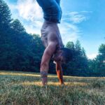 Stefano Lepri Instagram – 663/542 ɐʇsǝɹ ıɔ éɥɔuıɟ ɐɹɹǝʇ ɐl oıɔɔɐɹqqɐ