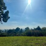 Stephanie Cayo Instagram - No se debe intentar comprender el amor, no se debe intentar analizarlo ni siquiera explicarlo. Es simplemente una experiencia que no debe ni puede ser perfecta, estática o fija; para mí, simplemente te enseña, si realmente escuchas, todo lo relacionado con el contraste, la polaridad y nos aporta claridad sobre nosotros como naturaleza humana. Nada más. Si existe, déjalo respirar, déjalo ser. - Love should not be tried to be understood should not be tried to be analyzed or even explained. It’s just an experience that should not, cannot be perfect, static or fixed, to me it just teaches you, if you really listen, everything about contrast, polarity, and brings clarity about us as human nature. Nothing else. If it exists, let it breath, let it be.