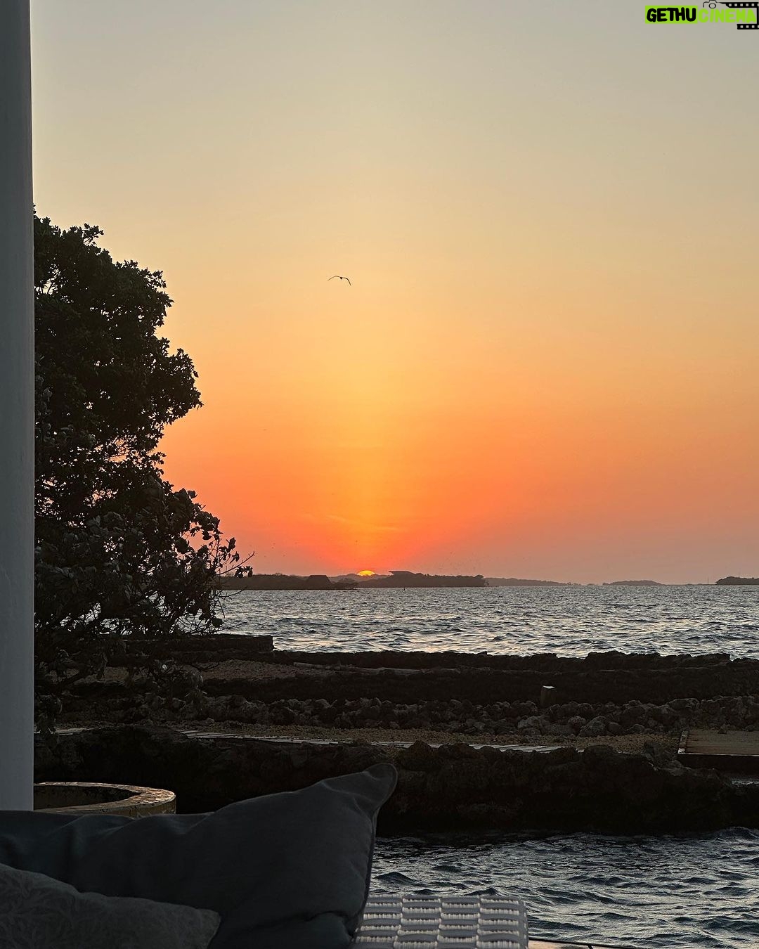 Stephanie Cayo Instagram - De los mandamientos que conozco: no se deben desperdiciar las puestas de sol… los momentos especiales… las palabras bonitas… Aquí vamos 2024 🤍 - From the commandments I know, one should not waste sunsets, special moments and beautiful words… Here we go 2024 🤍