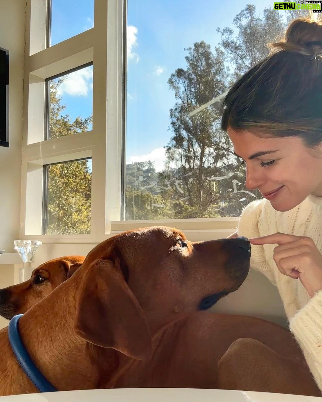 Stephanie Cayo Instagram - 💚 Topanga, California