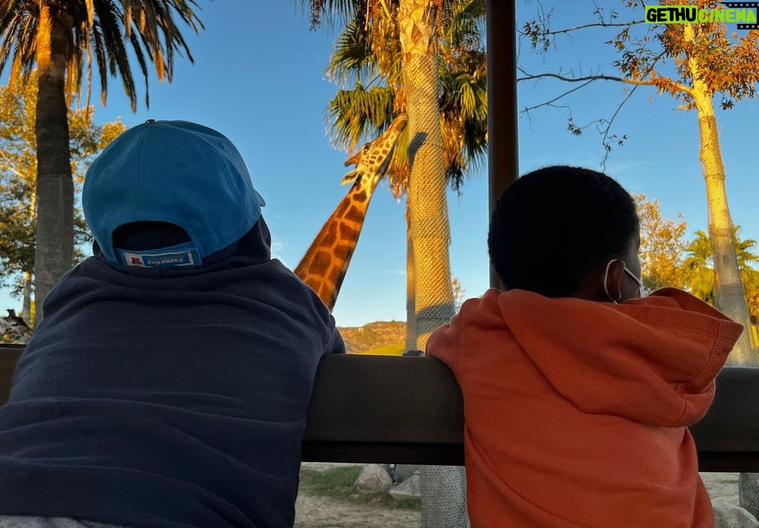 Sterling K. Brown Instagram - Phenomenal time at the San Diego Zoo and Safari Park this weekend! Truly enjoyable and incredibly enriching. Thank you @sdzsafaripark and @sandiegozoo for an unforgettable experience. #sandiegozoo #sdzsafaripark #wildlifeallies San Diego Safari Park