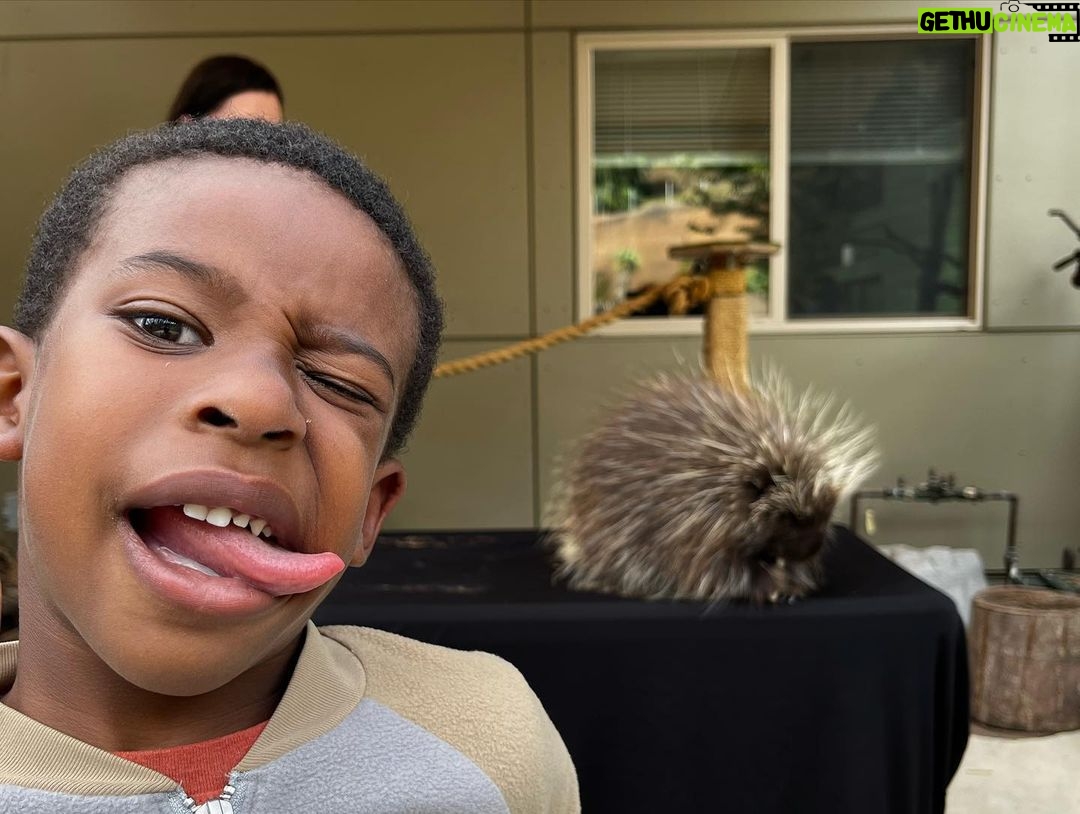 Sterling K. Brown Instagram - Phenomenal time at the San Diego Zoo and Safari Park this weekend! Truly enjoyable and incredibly enriching. Thank you @sdzsafaripark and @sandiegozoo for an unforgettable experience. #sandiegozoo #sdzsafaripark #wildlifeallies San Diego Safari Park