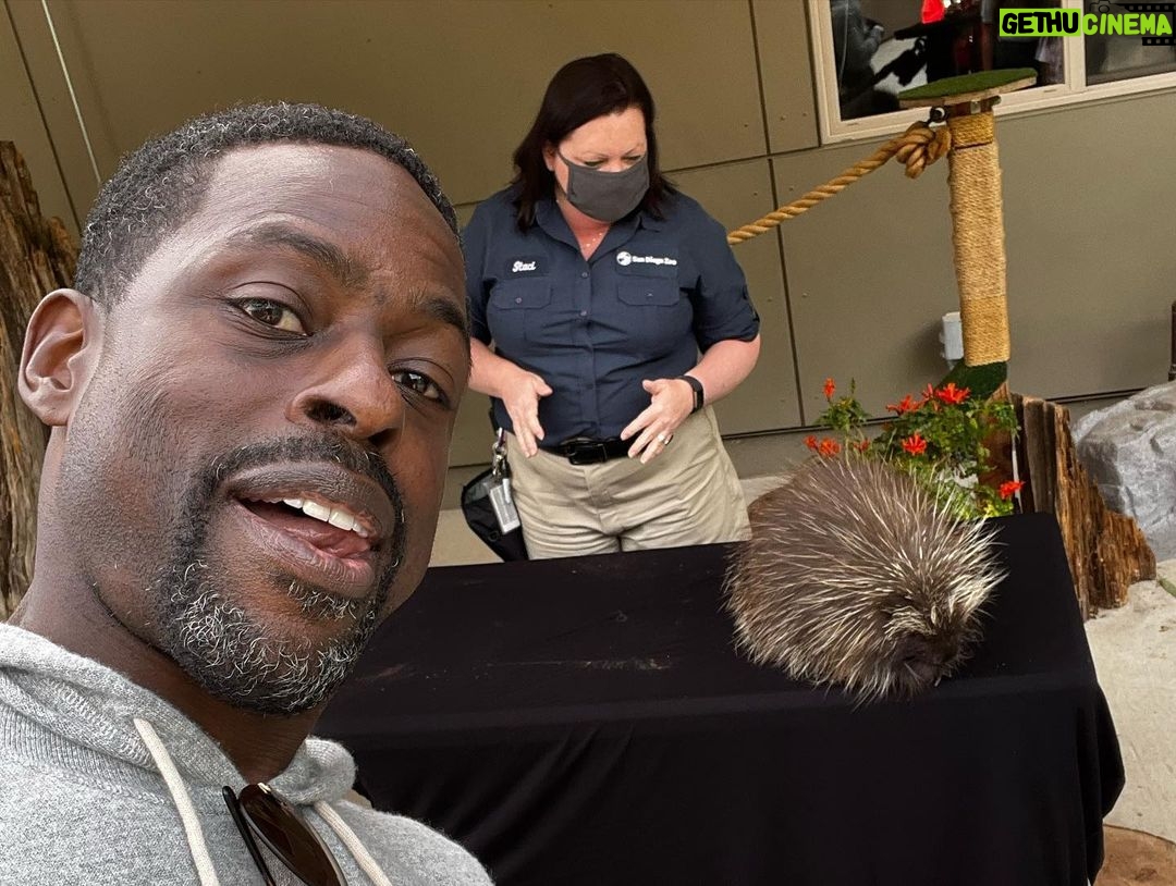 Sterling K. Brown Instagram - Phenomenal time at the San Diego Zoo and Safari Park this weekend! Truly enjoyable and incredibly enriching. Thank you @sdzsafaripark and @sandiegozoo for an unforgettable experience. #sandiegozoo #sdzsafaripark #wildlifeallies San Diego Safari Park