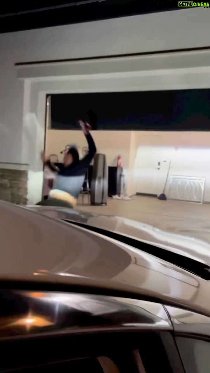 Steve-O Instagram - This might be the best video ever recorded… #repost via @brilliantlydumb