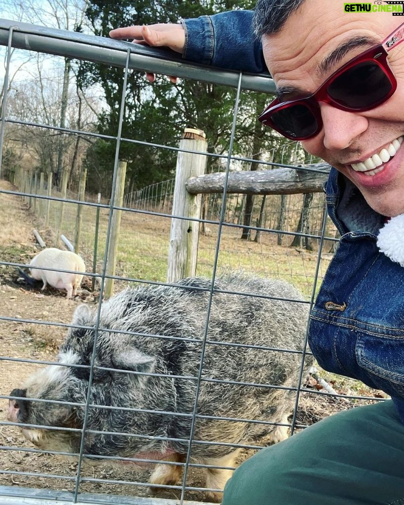 Steve-O Instagram - Meet Fonzarelli, he’s our new pig! His happy days are from here on out! #TheRadicalRanch