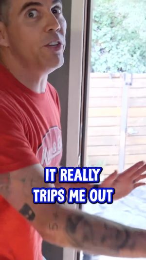 Steve-O Instagram - About LSD…
