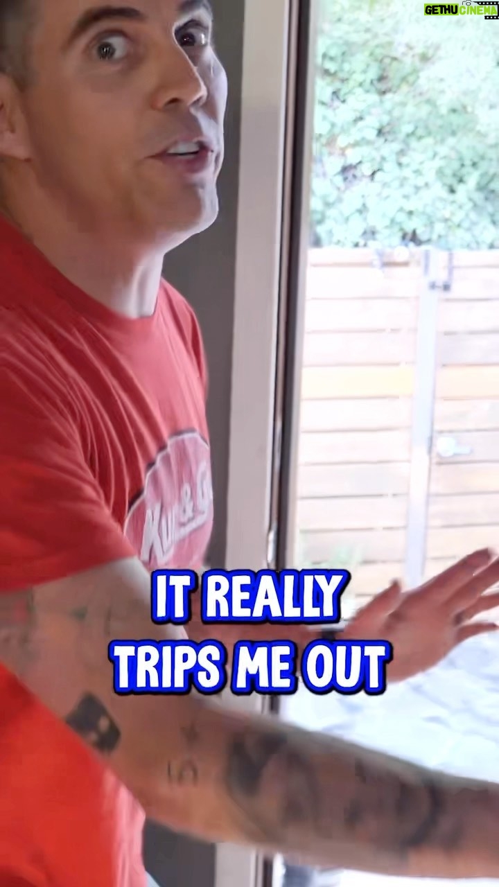Steve-O - 319K Likes - About LSD…