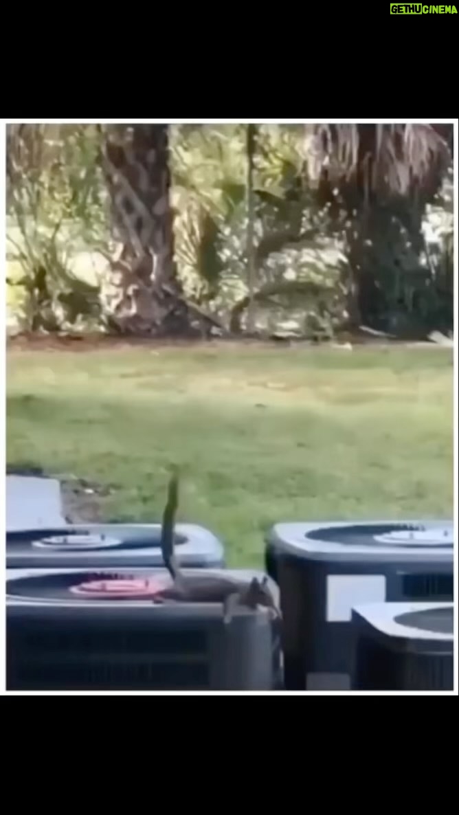 Steve-O - 136.8K Likes - I genuinely don’t care if this is fake— in fact, I may even be more impressed if it is! I would love to be able to credit the original source of it, too.