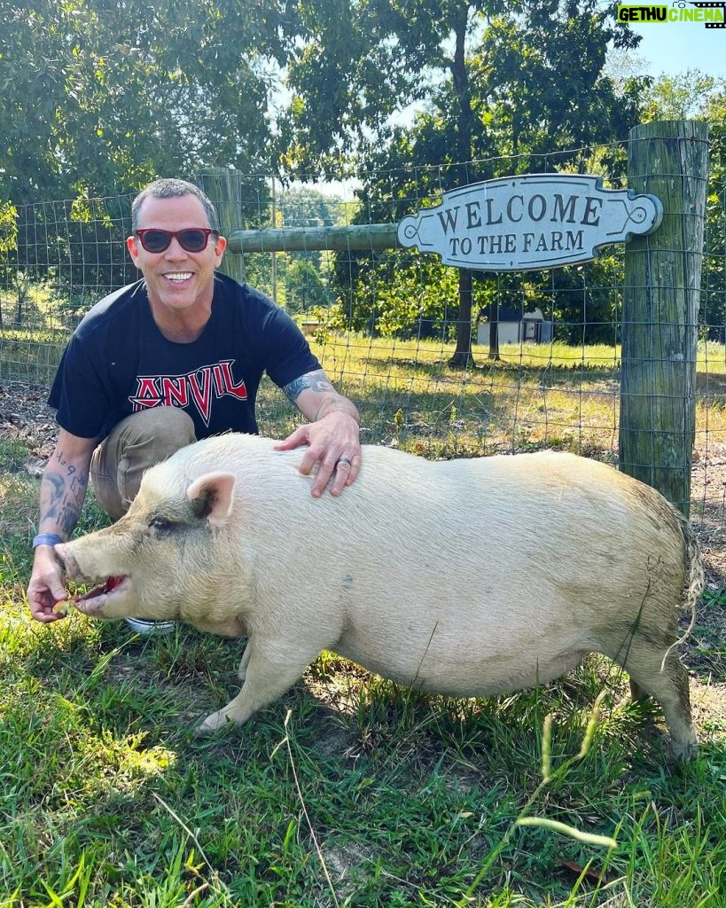 Steve-O Instagram - Introducing OUR RANCH!!! @luxalot and I spent the last three days there with our first farm animal (Lulu the pig), getting our first pickup truck, and doing tons of radical ranch shit! We love it here so much, we can’t stand it… So many amazing things to do with this place!!!