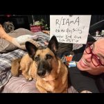 Steve-O Instagram - I hope you're ready for me, Reddit, because there is A LOT to get into this Sunday, Dec 3 at 1pm PST... Ask Me Anything!