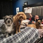 Steve-O Instagram – I hope you’re ready for me, Reddit, because there is A LOT to get into this Sunday, Dec 3 at 1pm PST… Ask Me Anything!