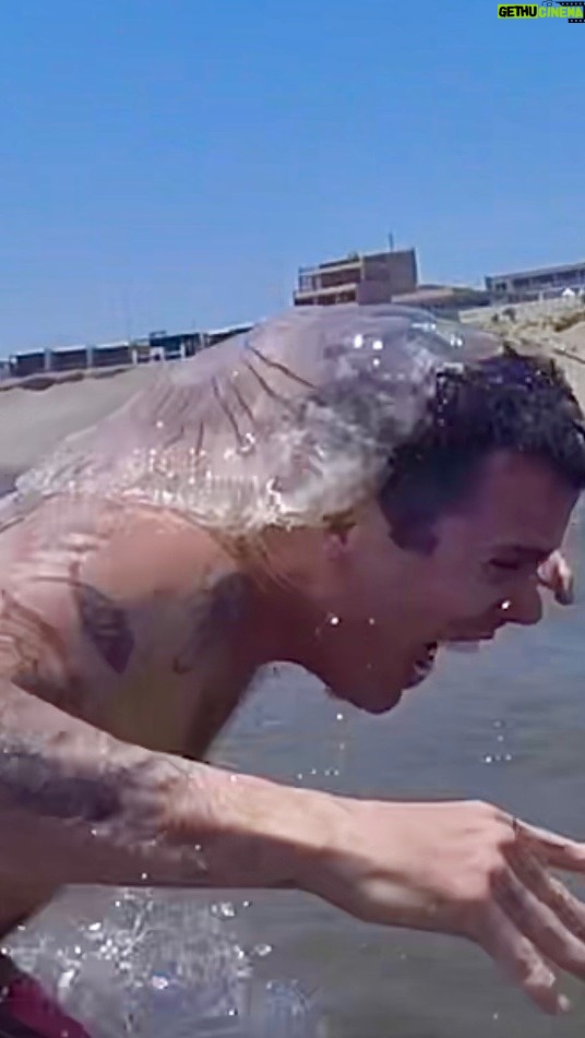 Steve-O Instagram - All I did was put these jellyfish on my head, and can you even believe it, they attacked me! Also, I know there are going to be people commenting about cruelty to jellyfish— GTFOH… they have no nervous system!