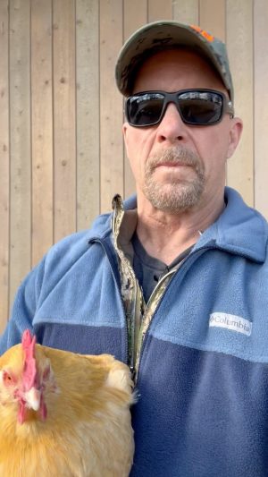 Steve Austin Instagram - Rudy the Chicken. 

#chicken #chickens 
#chickensofinstagram 
#eggs #brokenskullranch