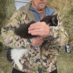 Steve Austin Instagram - Check in with Pancho the barn cat. Chicken story. Race season. 3:16 appearance. #cat #catsofinstagram #barncat #pancho #chicken #chickens #drama #story #beer #craftbeer @perraultfarms @esbcbrews @brokenskullbeer #316 @valleyoffroadracingassociation Correction-Feathers on his wing..