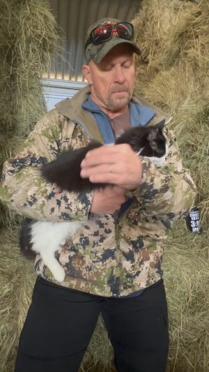 Steve Austin Instagram - Check in with Pancho the barn cat. 
Chicken story. Race season. 3:16 appearance. 
#cat #catsofinstagram #barncat 
#pancho #chicken #chickens 
#drama #story #beer #craftbeer 
@perraultfarms @esbcbrews 
@brokenskullbeer #316 
@valleyoffroadracingassociation
Correction-Feathers on his wing..