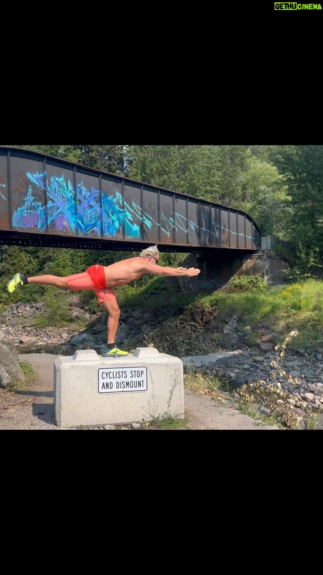 Steven Ogg Instagram - Acceptance/letting go not making that okay making it a surrender from that trap entangling strangling suffocating movement forward a released balloon a cinder block sinking it down vulnerables unprotected epidermis removed sharing/expressing to create for others to feel the feelings not a suffering FOR the art puerile thoughts a suffering SERVES the art breathless/exhausted everything poured in only to be drained by the corporate greed to exploit/take advantage of mistreating in a plethora of ways a fucked up system needing an overhaul but like so much it takes more than a rebuild it takes an excavation to go deeper beneath the foundations to see why/how priorities are so fucked up and the artists are left unprotected/unattended us artists I will include myself as a proud one living/sharing truth and honesty that the big money corporate greeds will NEVER possess; those turned into fools moral sensibilities lost getting fat off the flesh/bones of every devoted artist. #pigs #CorporateGreedyFucks #tulips #artists #TheStruggleHasAName *USE YOUR WORDS FOLKS* GIF’S say A LOT(about who you are rather than what you actually have to say-give it a whirl GIF-ers) Fernie, British Columbia