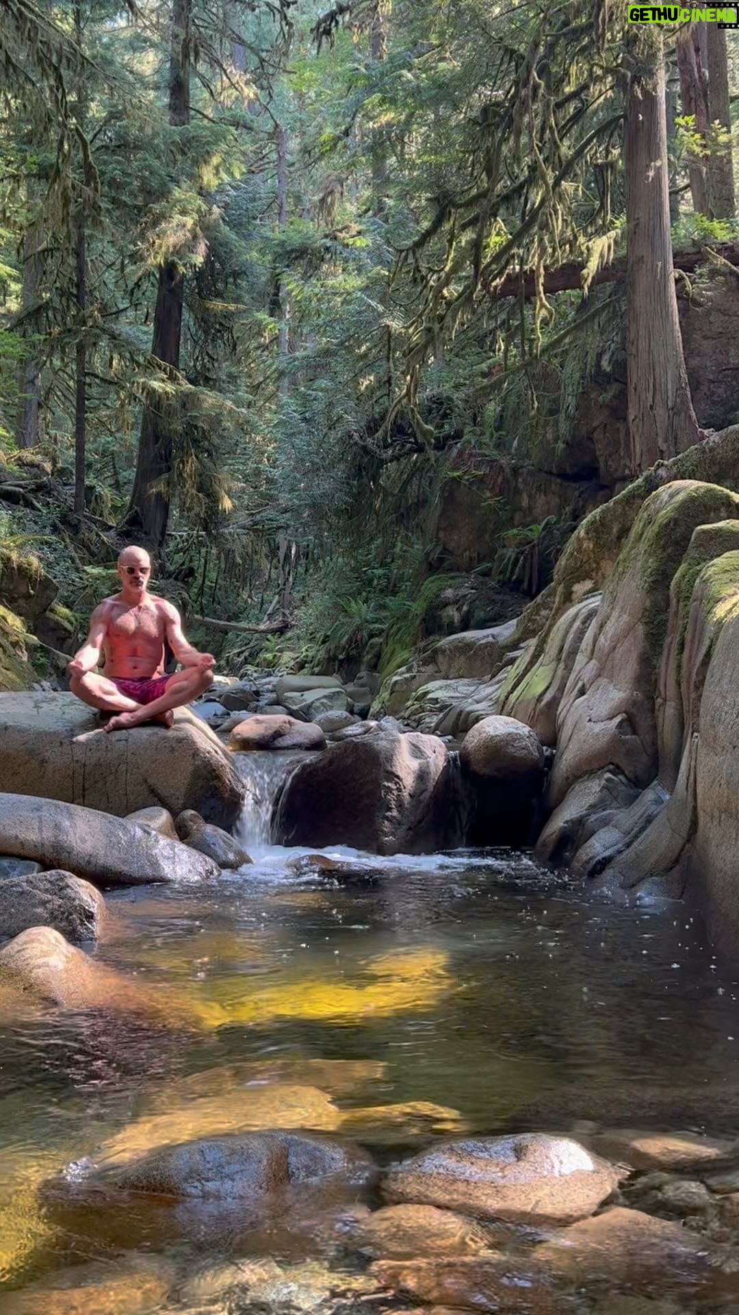 Steven Ogg Instagram - Ever present as it washes all over me both the pleasure and the pain born with one raised into another appreciating all feeling everything numbed down to the nubs the stubby stubs the raw edges arms dropping exhausted from reaching grinding down to grounded yet its beauty because of its love keeps me from sinking. #vancouver #WhatTheFuckIsNext?! #grind #grounded #I’dSTILLratherBeActingInSomething #balance #exophthalmus #Whangdoodle West Vancouver, British Columbia