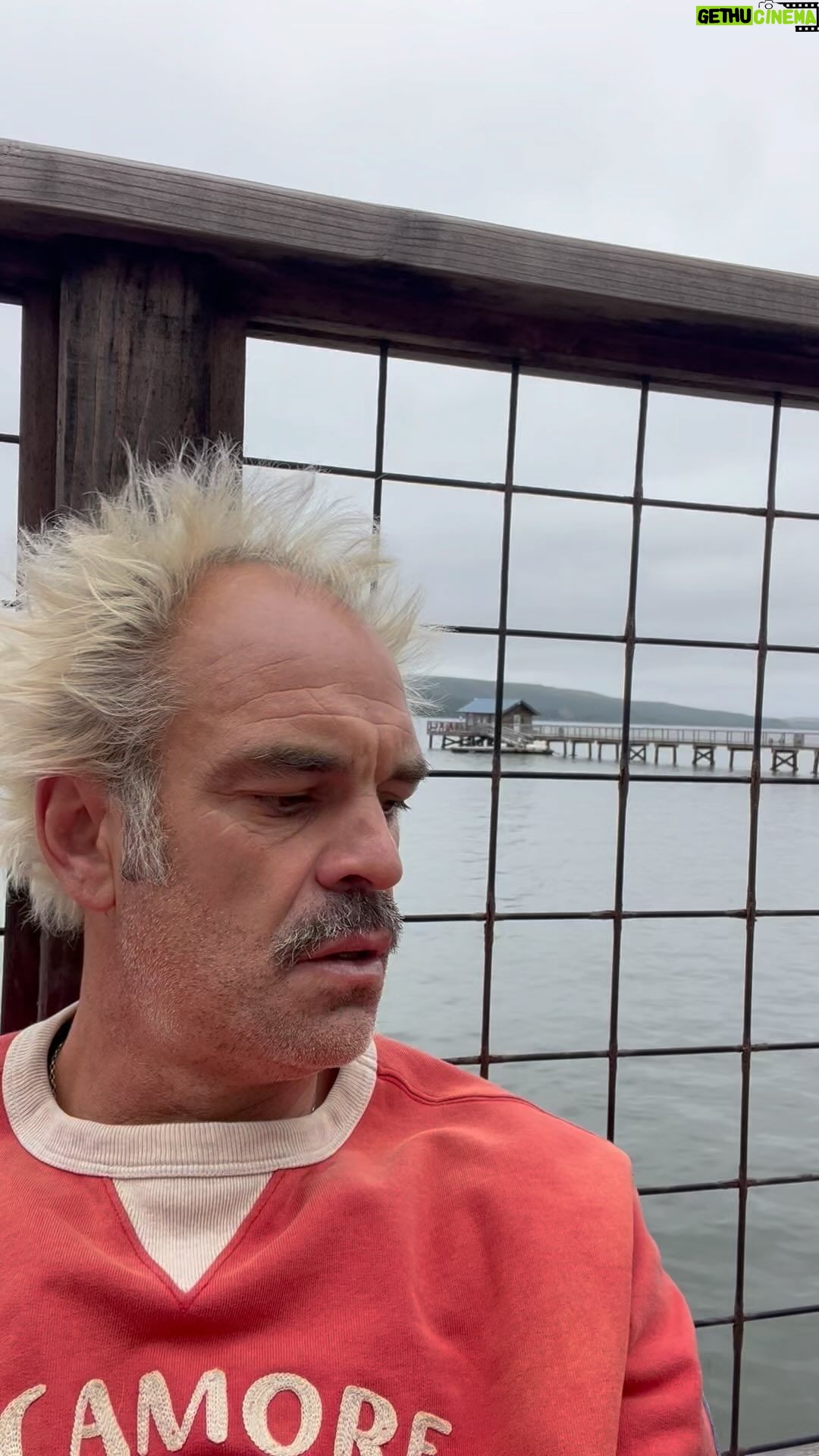 Steven Ogg Instagram - I don’t remember the last time we said goodbye I don’t remember the last time we waved to each other be it a greeting or a parting I don’t remember what your hand felt like I don’t remember your smell I don’t remember so much about you I do remember this- I love you. Had I known that moment would be the last between us would I have remembered more? #poetry #performance #book #tramp #tomasespedal Tomales Point