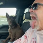 Steven Ogg Instagram - I laid my card to you next to the pillow your card to me was there waiting serendipitous expressions of love words of gratitude beneath their envelopes ready to be read to each other. -OGG #poetry #roadtrip #gratitude #love #fp #DreamingMyDreamsWithYou The Open Road