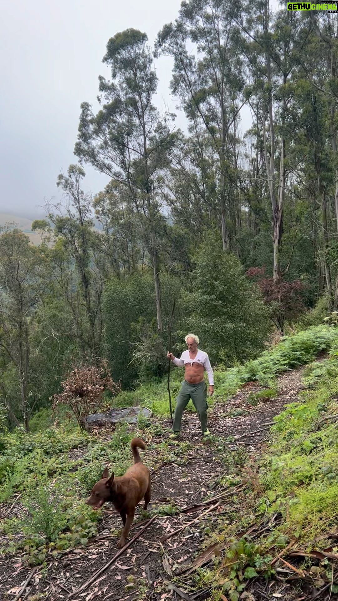 Steven Ogg Instagram - Peikkoman of Tilden. #forest #peikko #forestbathing *THE COMMENTS REMAIN OFF THANKS TO THE STUPID DECISION OF @instagram TO ALLOW GIFS AS COMMENTS WITHOUT THE USER’S CHOICE TO TURN THEM OFF* #stupid Tilden Park