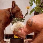 Steven Ogg Instagram – 2:43PM Wednesday 
Journeying up.
Journeying thru’d. #journey #sharing #caring #LickItUp #dog #wednesday #thirsty Dogville