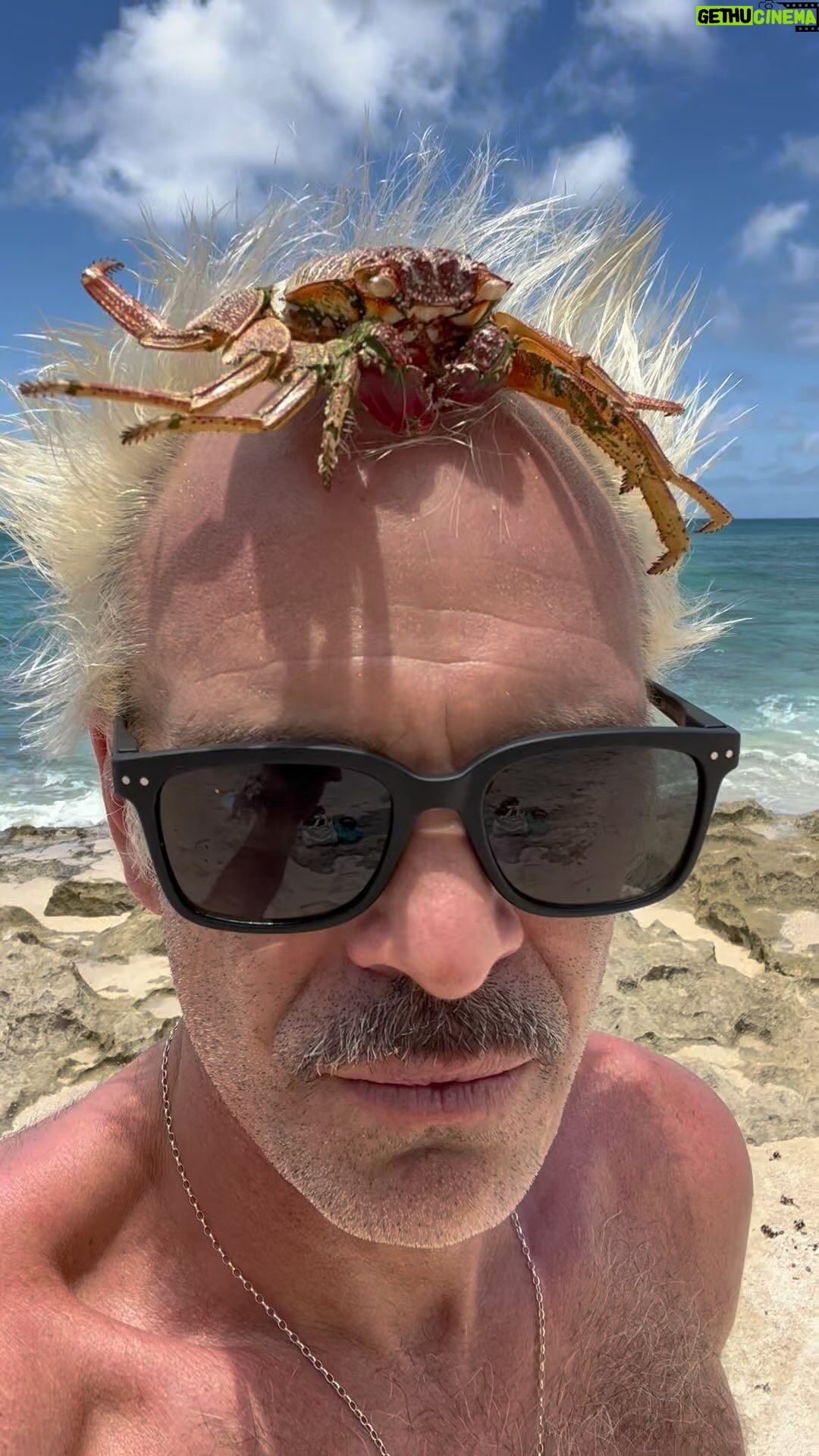 Steven Ogg - 106.3K Likes - 🦀🦀🦀🦀🧜🏼♂️🦀🦀🦀🧜🏼♂️🦀🦀🧜🏼♂️🦀🥌 @marvelstudios @marvel #crab #family #hawaii #northshore #CrabBoy #comingsoon