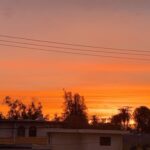 Steven Ogg Instagram - “The sun comes up; The sun comes up and you’re alone. Your sense of purpose come undone; the traffic tails back to the maze on 101. And the news from the sky is looking better for today in every single way, but not for you.” @skmtgram #davidsylvian Way Out Yonder