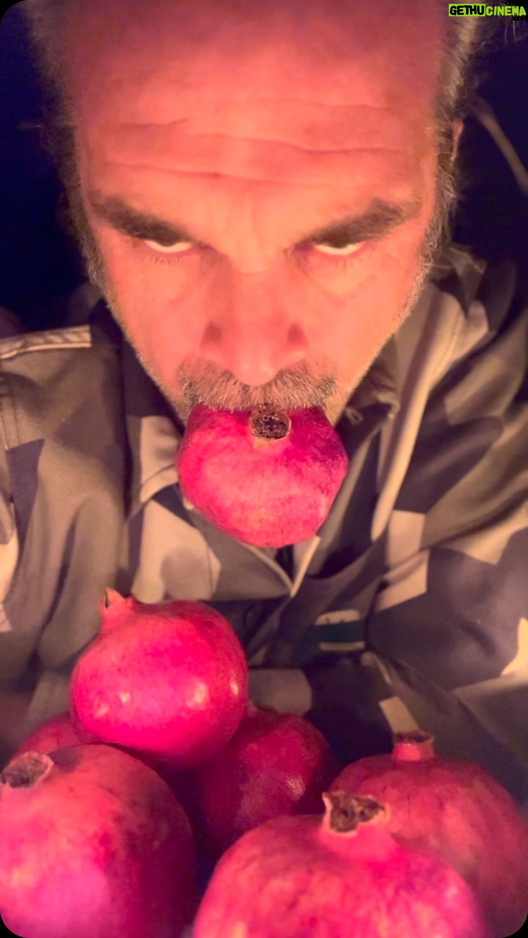 Steven Ogg - 27.7K Likes - It’s beginning to
look a lot like
LIFE IN A NUTSHELL
Coming in 1994
to a streamer
to a theatre
to a VHS
near you!
#pomegranate