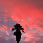 Storm Reid Instagram - lately ❤︎ Los Angeles, California