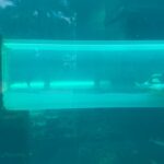 Storm Reid Instagram – a time was had!!!!!! thank you @thecoveatlantis ๐ฅนโฅ๏ธ๐๏ธ๐ฆ๐
#ParadisePerfected Atlantis Bahamas