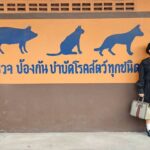 Sudarat Butrprom Instagram - ไม่มีใครป้องกันเราหรอก เราต่างหากที่ต้องป้องกันตัวเอง มนุษย์2ขา ต้องการเอาตัวรอดเช่นกัน ทุกคนแหล่ะ 🙄🙄🙄🙄🙄🙄🙄🙄🙄🙄🙄🙄🙄🙄🙄 เดอะมอลล์งามวงศ์วาน The Mall Ngamwongwan