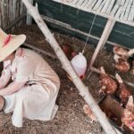 Sudarat Butrprom Instagram - รักเราให้เลี้ยงไก่ รักไหมให้เลี้ยงป่าว 🪿🐥🐣🦆🐤🐦🪿🐧🐔🐣🐥🪿🦆🐤🐦🦆 #สายเปย์
