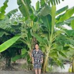 Sudarat Butrprom Instagram - จงทำตัวให้เหมือนต้นกล้วย มีค่าทุกส่วน มีคุณทุกเรื่อง 🍌🍌🍌🍌🍌🍌🍌🍌🍌🍌🍌🍌🍌🍌🍌